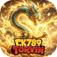 프로그램 아이콘: CK789TORVIN