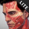 プログラムのアイコン：Action Anatomy - 3D anato…