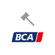 程序图标：BCA Autoveiling