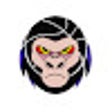 KongTracker icon