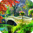 程序图标：Nature Photo Frames
