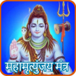 Symbol des Programms: Maha Mrityunjaya Mantra