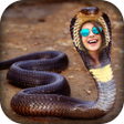 プログラムのアイコン：Snake Photo Frame