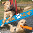 程序图标：Appmal Hund - Hundeapp