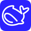 Programikon: DeepSeek Print to PDF