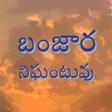 Иконка программы: Banjara Dictionary