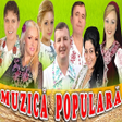 Ikon program: Fm Muzica Populara Etno -…