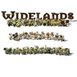 프로그램 아이콘: Widelands