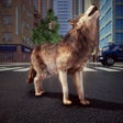 程序图标：The Wild Wolf Life Sim Ga…