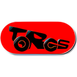 Ícone do programa: TORCS