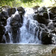 程序图标：Real Nature Live Wallpape…