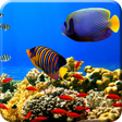 プログラムのアイコン：Free Aquarium Undersea LW…