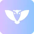 Owl VPN: Secure and Fast