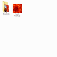 Symbol des Programms: CBX Shell