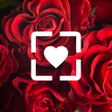 Иконка программы: Love Wallpaper HD Free