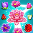 程序图标：Blossom Splash