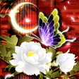 程序图标：Elegant Theme Fluttery Fl…