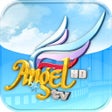 Programikonen: Angel TV