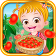 Ikon program: Baby Hazel Tomato Farming
