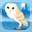 أيقونة البرنامج: Owl Simulation Game