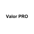 Symbol des Programms: Valor PRO