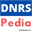 プログラムのアイコン：DNRS Business Plan Produc…