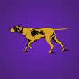 程序图标：Westminster Kennel Club
