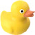 Ikon program: RubberDucking