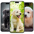 Icon of program: Puppy Wallpaper