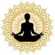Surya Namaskar Yoga Hindi सूर्य नमस्कार with Audio