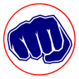 Ícone do programa: Virtual Boxing Trainer