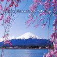 View Wallpaper Chery Blossoms & Mt. Fuji Theme