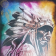 Icon of program: Native American Indians S…