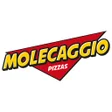 程序图标：Molecaggio