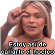 程序图标：WASticker -Wendy Guevara …