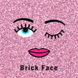 プログラムのアイコン：Brick Face Theme