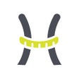 Icoon van programma: LIGHTcoach