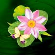 Icon of program: Butterflies Live Wallpape…