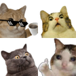 Ícone do programa: Stickers de gatos gracios…