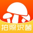 菌窝子 - 蘑菇识别 icon