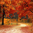 プログラムのアイコン：من روائع شعر الحكمة