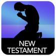 プログラムのアイコン：The New Testament of The …