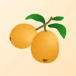 ไอคอนของโปรแกรม: Loquat VPN
