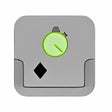 Programikonen: Safari Tab Reloader