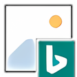 程序图标：BingSnap