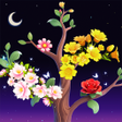 程序图标：Blossom Bliss: SortDesign