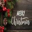 程序图标：Christmas name cards