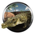 Icon of program: Angry Crocodile 3D Simula…