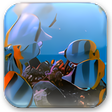 Icon of program: Aquarium Widget