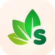 程序图标：SEMENA.RU